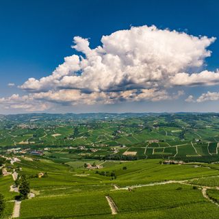 Le Langhe del Barolo
