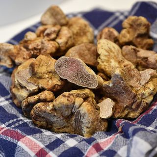 Trifule: il tartufo bianco d’Alba protagonista a Dogliani dal 14 al 22 dicembre