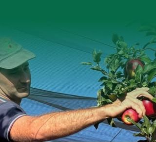 (foto - coldiretti cuneo) (foto - coldiretti cuneo)