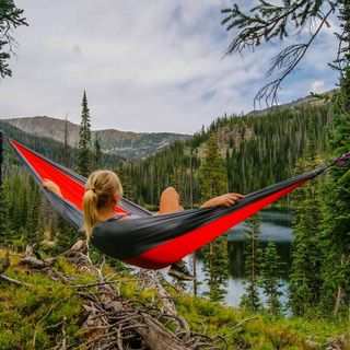 L'esperienza WeWeed: oltre l'acquisto di cannabis Legale L'esperienza WeWeed: oltre l'acquisto di cannabis Legale