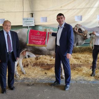 Il campione Junior con il sindaco tallone e l'assessore Pellegrino