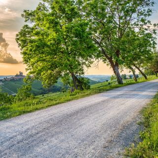 Panorama da Sinio con vista sul Castello di Serralunga (Langhe Experience)