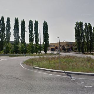 Saranno probabilmente abbattuti i pioppi dell'area industriale