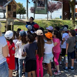A Novello si è inaugurato  "l'Hotel degli insetti”: un doposcuola che lascia il segno anche nella natura