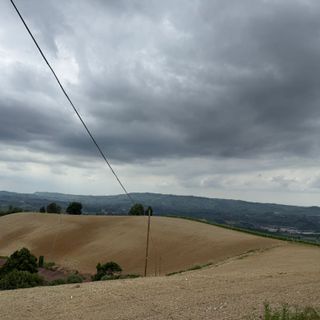 L'area in cui saranno innestati gli ulivi, nei pressi di Santa Rosalia