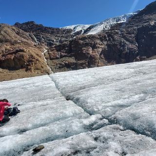 Le "pulci dei ghiacciai": ancora poco conosciute e già minacciate