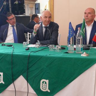 Agricoltura e cambiamento: una sfida quotidiana per lo sviluppo e per il futuro [VIDEO]