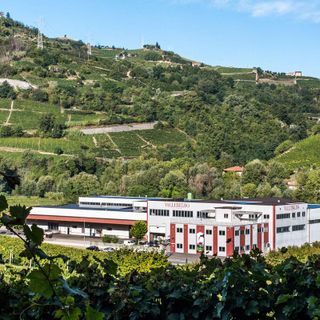 Santo Stefano Belbo: cantina Vallebelbo annuncia "alleanza strategica" con Veraison Group