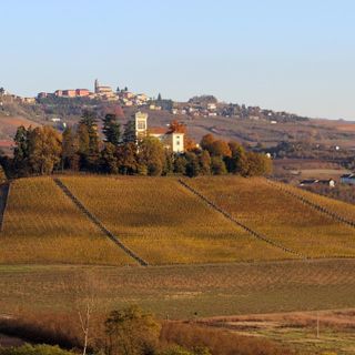 Sagre ed eventi ad Alba: cosa dice la legge sui premi in denaro