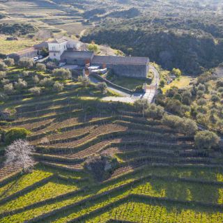 Vini e salumi, un trionfo di gusto in tavola: gli abbinamenti perfetti