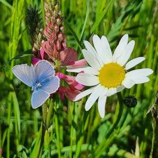 Foto di Francesca C. Foto di Francesca C.