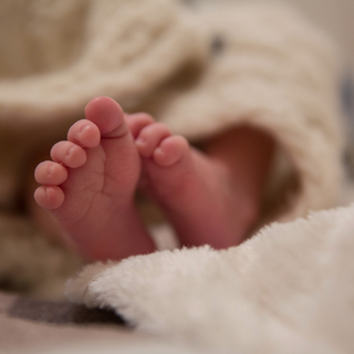 Ceresole d'Alba: una scatolata solidale per il reparto materno infantile di Verduno