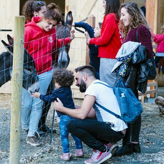 Fattoria Sociale Paideia: domeniche inclusive tra natura e animali a Caramagna Piemonte