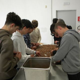 L'Istituto Agrario di Grinzane Cavour trasforma le nocciole in lezioni di sostenibilità