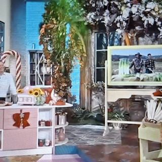 Dalla banca al Porro Cervere: la storia dei fratelli Rinero conquista il pubblico della Clerici su Raiuno