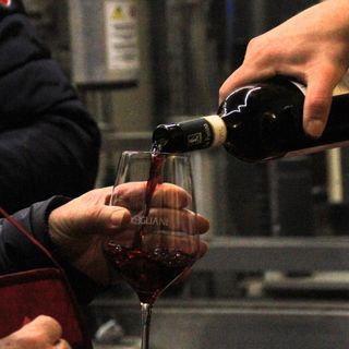 A Dogliani torna l'itinerario dell'enovago