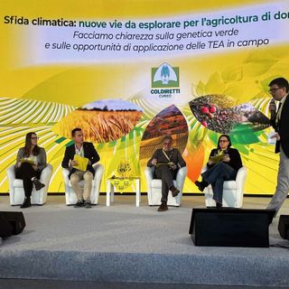 Nuove tecniche genomiche: Coldiretti Cuneo celebra il successo europeo sulla Tea Nuove tecniche genomiche: Coldiretti Cuneo celebra il successo europeo sulla Tea