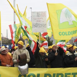 "Forsa Piemunt", oltre 2500 agricoltori cuneesi sotto il palazzo della Regione: «Basta burocrazia, servono risposte concrete»
