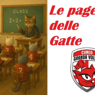 VOLLEY A1F / PERUGIA-HONDA CUNEO 0-3. Le pagelle delle Gatte
