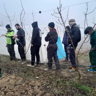 Dalla potatura al futuro: la Scuola Agraria di Grinzane coltiva le competenze delle nuove generazioni