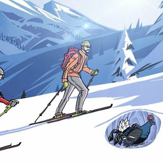 Coppa Kleudgen - Acquarone 2026: Apam e Cai Imperia insieme per lo sport e la conservazione