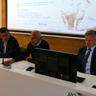 L’incontro in Confagricoltura a Cuneo con il presidente della FNP Suinicola, Rudy Milani, di qualche settimana fa