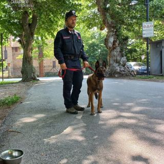 La collaborazione tra il Comune cheraschese, la Polizia Locale e i Carabinieri Forestali ha permesso di attivare l’unità cinofila antiveleno per la bonifica dell’area