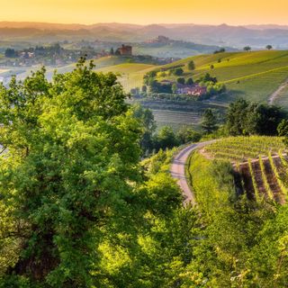 Le Langhe rappresentano la zona più conosciuta dai turisti stranieri Le Langhe rappresentano la zona più conosciuta dai turisti stranieri