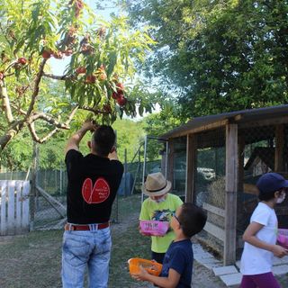 Govone, riparte l’accoglienza alla Collina degli Elfi Govone, riparte l’accoglienza alla Collina degli Elfi