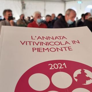 Per il Piemonte vinicolo un’annata da quattro stelle, ma bottiglie in calo del 15%