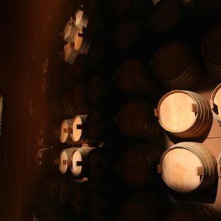 Al Wimu di Barolo viaggio con brindisi alla scoperta dei grandi vini del territorio