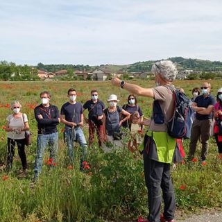 Alba lancia le "Livertin Experience": passeggiate gratuite tra foraging e biodiversità