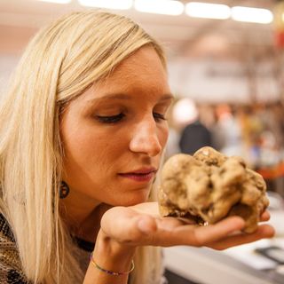 Al via la 92ª Fiera Internazionale del tartufo bianco d'Alba in programma dall'8 ottobre al 4 dicembre