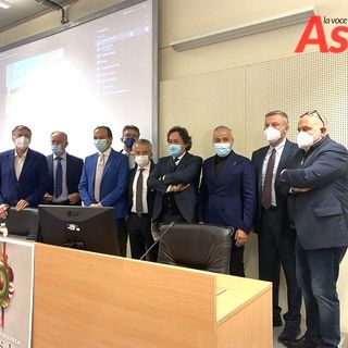 Nocciola Tonda Gentile: un polo da 9mila aziende e 26mila ettari coltivati [VIDEO]