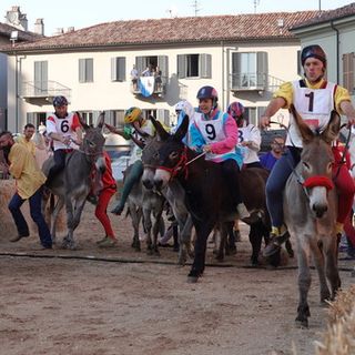 Rievocazione storica e Palio degli Asini ad Alba: "Sarà un grande spettacolo inclusivo" Rievocazione storica e Palio degli Asini ad Alba: "Sarà un grande spettacolo inclusivo"
