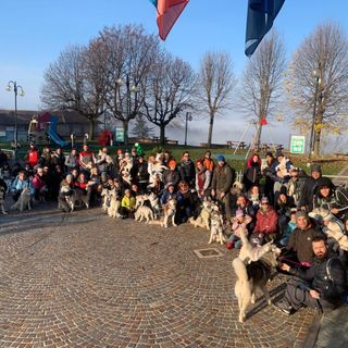 Tra i vigneti di La Morra un partecipato raduno di Siberian Husky