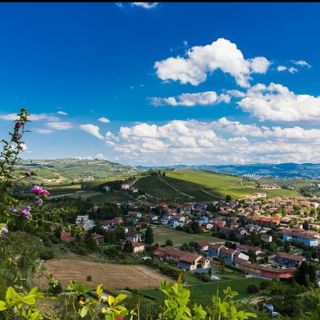 Turismo a misura di disabile: arriva il portale "Roero per tutti"