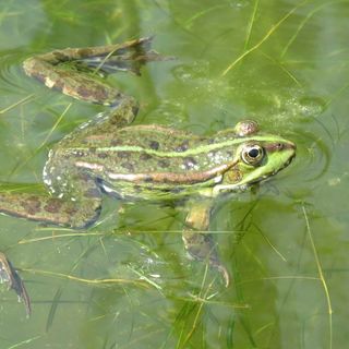 Immagine di repertorio