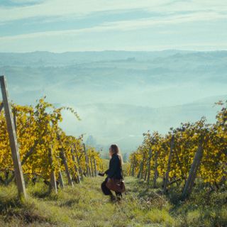 Nelle foto alcuni scatti dall'opera e i suoi interpreti Nelle foto alcuni scatti dall'opera e i suoi interpreti