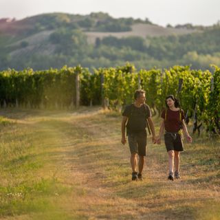 Foto Consorzio Turistico