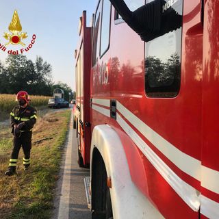 Immagine d'archivio Immagine d'archivio