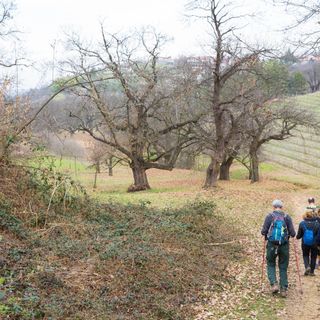 A Montà un’Immacolata fra le Rocche del Roero A Montà un’Immacolata fra le Rocche del Roero