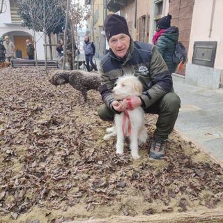 Farinél/ I trifolao hanno vinto: posticipate la stagione della cerca del bianco d’Alba e la Fiera del tartufo