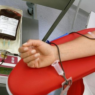 L'appello della Fidas: "Grave mancanza di sangue all'ospedale di Mondovì"