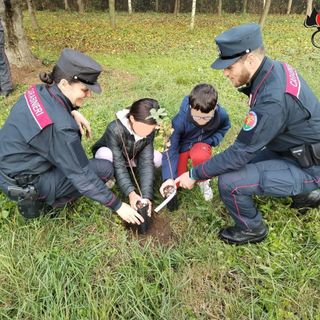 Giornata nazionale dell'albero, celebrata la festa coi Carabinieri Forestali