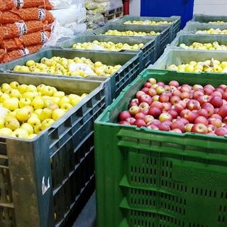 Gagliasso, Perugini e Demarchi (Lega Salvini Piemonte): “No al cibo sintetico per difendere le nostre eccellenze
