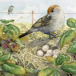 Cherasco: Lisa Pagnutti vince il concorso calendario naturalistico 2022