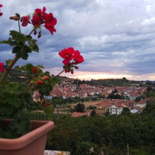 Foto panoramica del quartiere Moretta ad Alba