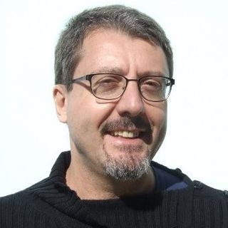 Luca Bonfanti, professore associato all’università degli studi di Torino e ricercatore presso il NICO