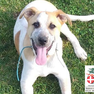 Tom: un anno e mezzo di dolcezza e molta voglia di giocare